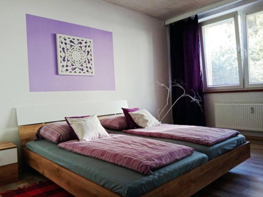 Apartament - U Papirny